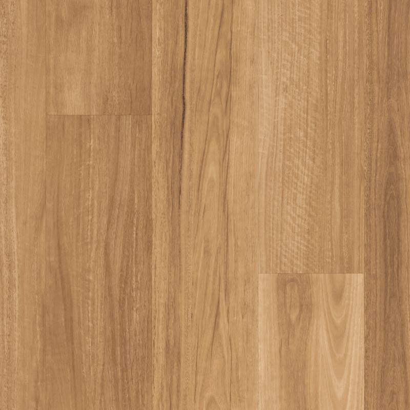 llp317lemonspottedgum oh - Designflooring pvc vloeren met houteffect